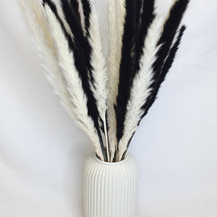 Opal Lily - Wholesale Dried/pressed flowers - Small Black Pampas Grass5