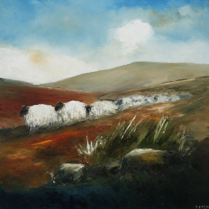 Zijn we er al? voor wholesale door Padraig McCaul Images