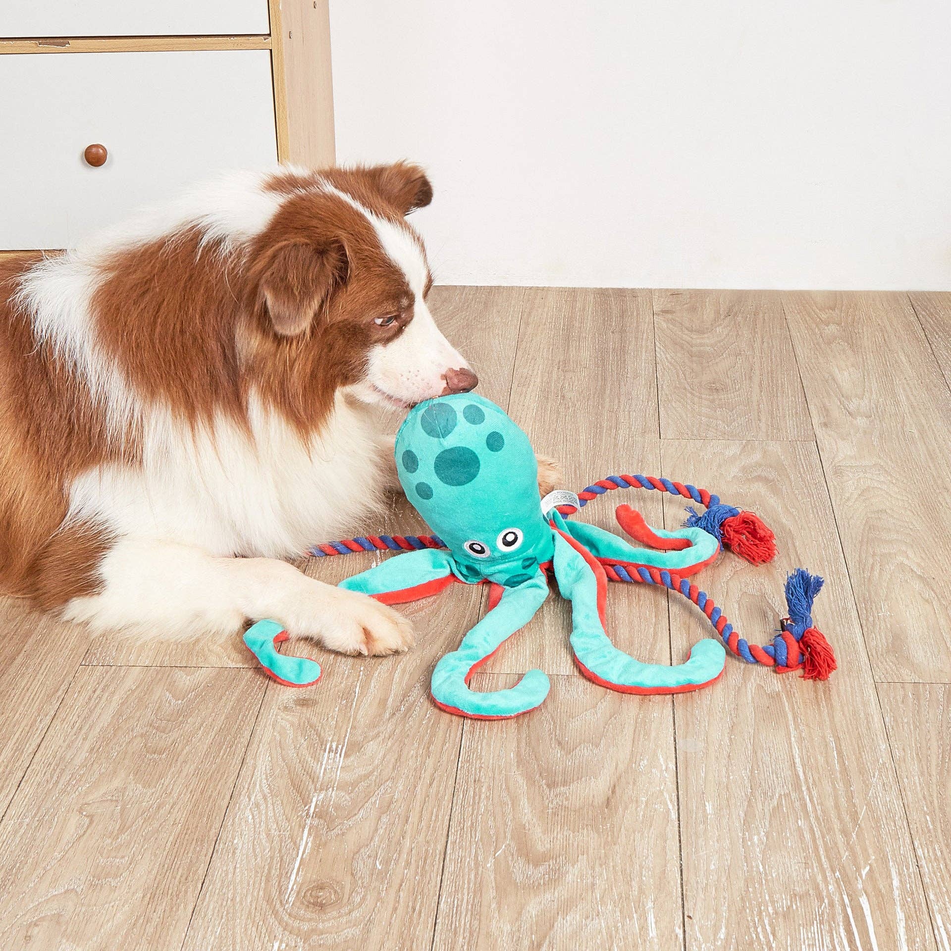 Petkin Candy Dog Treat Dispenser Toy - Interactive Stuffed Squeaky Plush