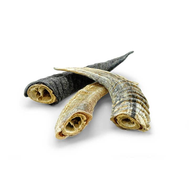 Icelandic+ - Wholesale Pet Treats - Dog - Icelandic+ Small Lamb Horn with Marrow 36-Ct Display Box