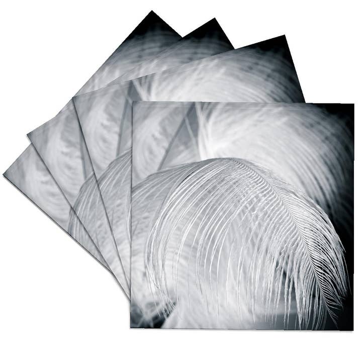 3dRose - Wholesale Coasters - 3dRose, Ostrich feathers in black and white, Coaster