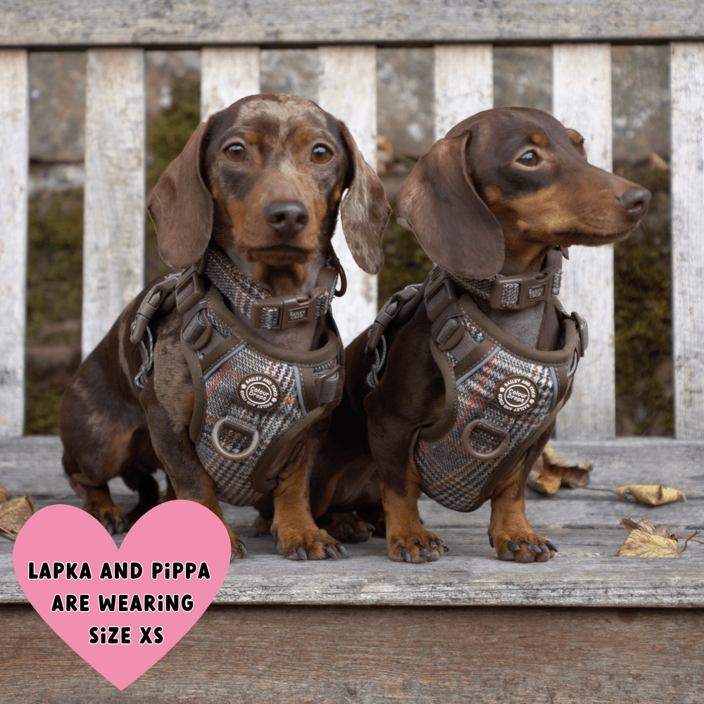 Bailey and Coco – wholesale Pet leash – Dog – Dog Lead 5ft - Colour Drops - Heritage Plaid4