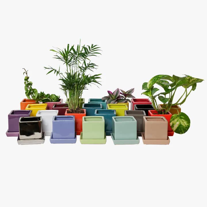 Chive - Wholesale Plant Pot - Cube Pot With Saucer And Drainage Hole 60 Plus Colors17