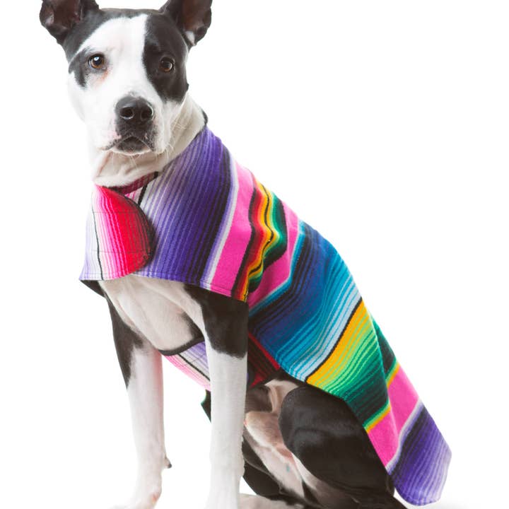 Baja Ponchos - Wholesale Pet Poncho - Dog - Dog Poncho From Mexican Serape Blanket - Pink