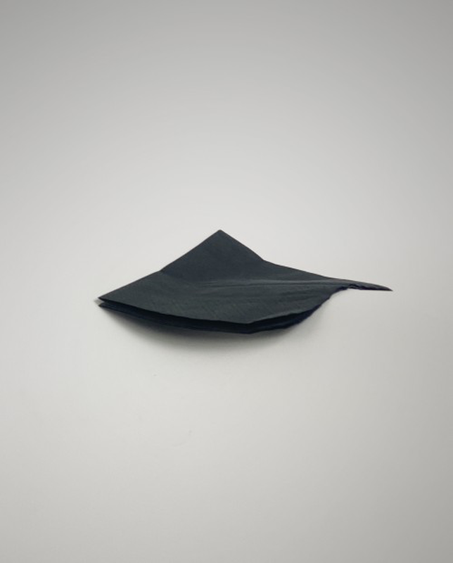 Renova - Wholesale Disposable Napkin - Cocktail Napkins RENOVA Black 1