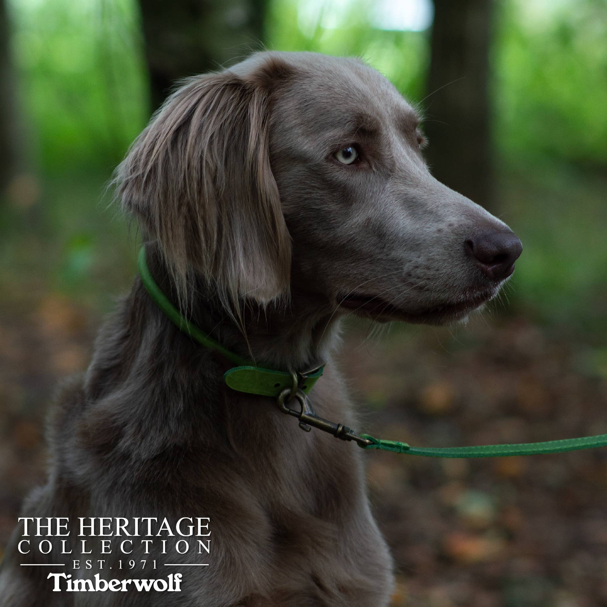 Ancol Pet Products Ltd - Wholesale Pet Collar - Dog - Timberwolf Round Collar11