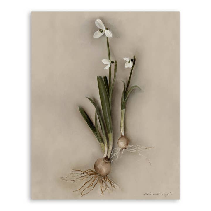 flocos de neve n.º 01 por atacado de Hannah Winters Art