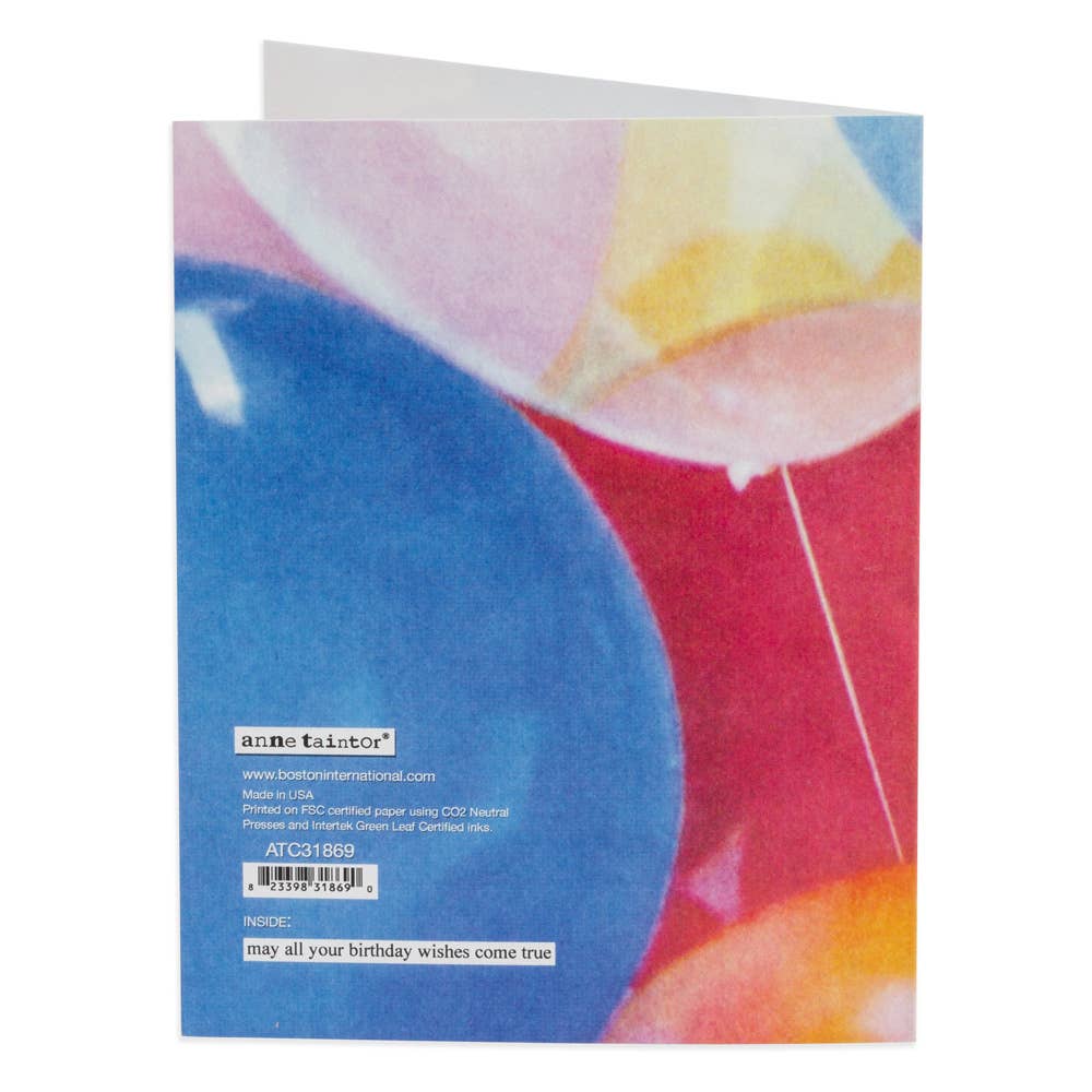 Boston International - Wholesale Birthday Card - Birthday Card Pinata Anne Taintor2