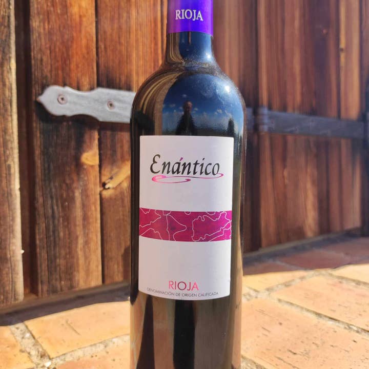 Viñedos y Bodegas Lyng - Wholesale Red Wine - D.O.Ca. young red wine Rioja Enantico2