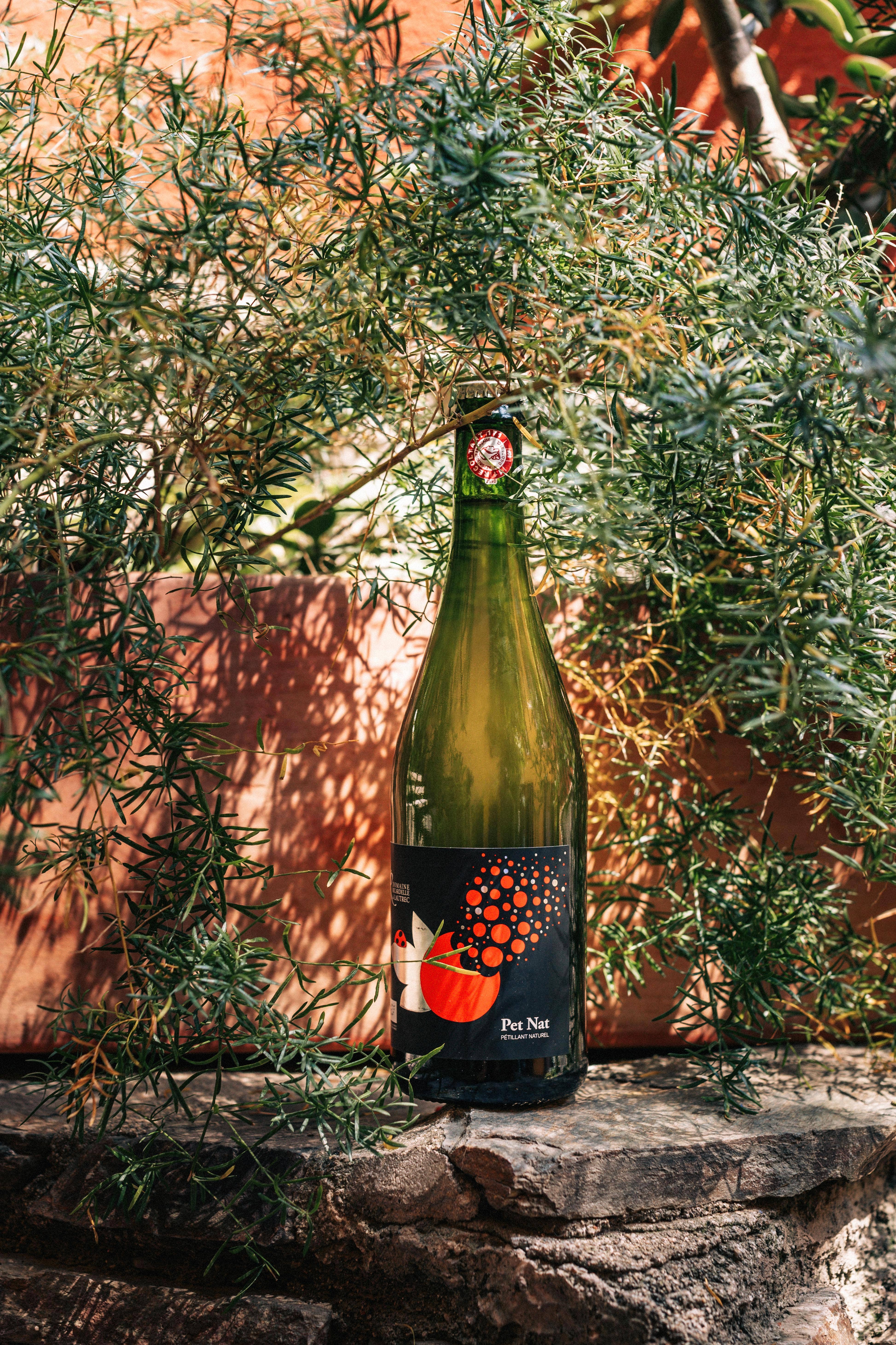 Domaine Ricardelle de Lautrec - Wholesale Natural Wine - Organic & Natural Wine - Natural Sparkling Wine 20244