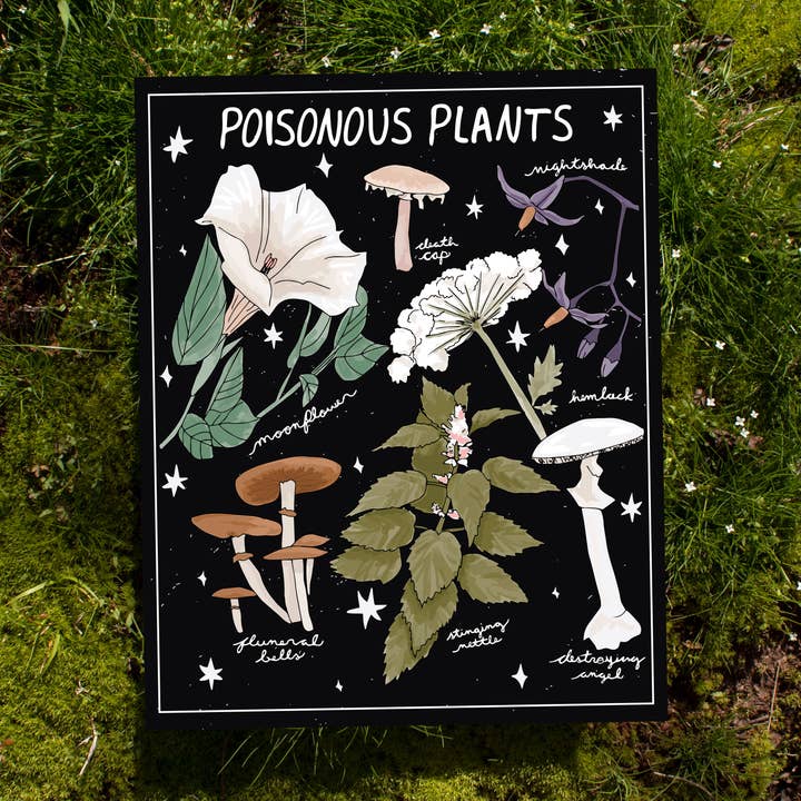Becca Robinson Studio – Conjunto de arte de parede por atacado – Impressão de Arte de Plantas Venenosas | Arte Bruxa0