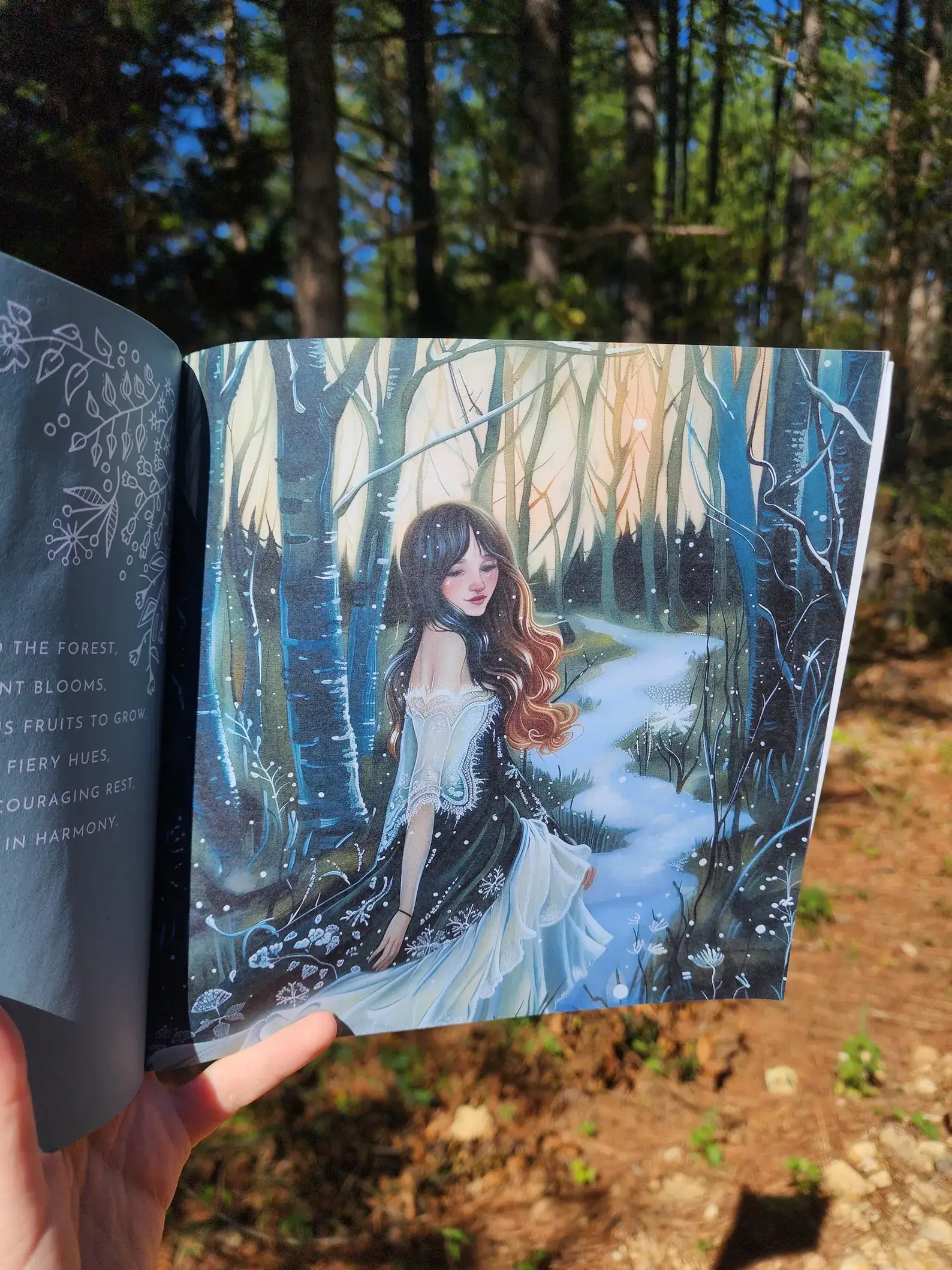 Author Linda Blackmoor - Wholesale Preschool Book (3-5) - Fairies of the Forest4