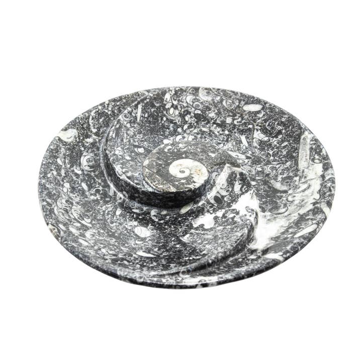 Quasar Gems USA - Wholesale Sculpture - Ammonite Fossil Plate Round Spiral 18cm2