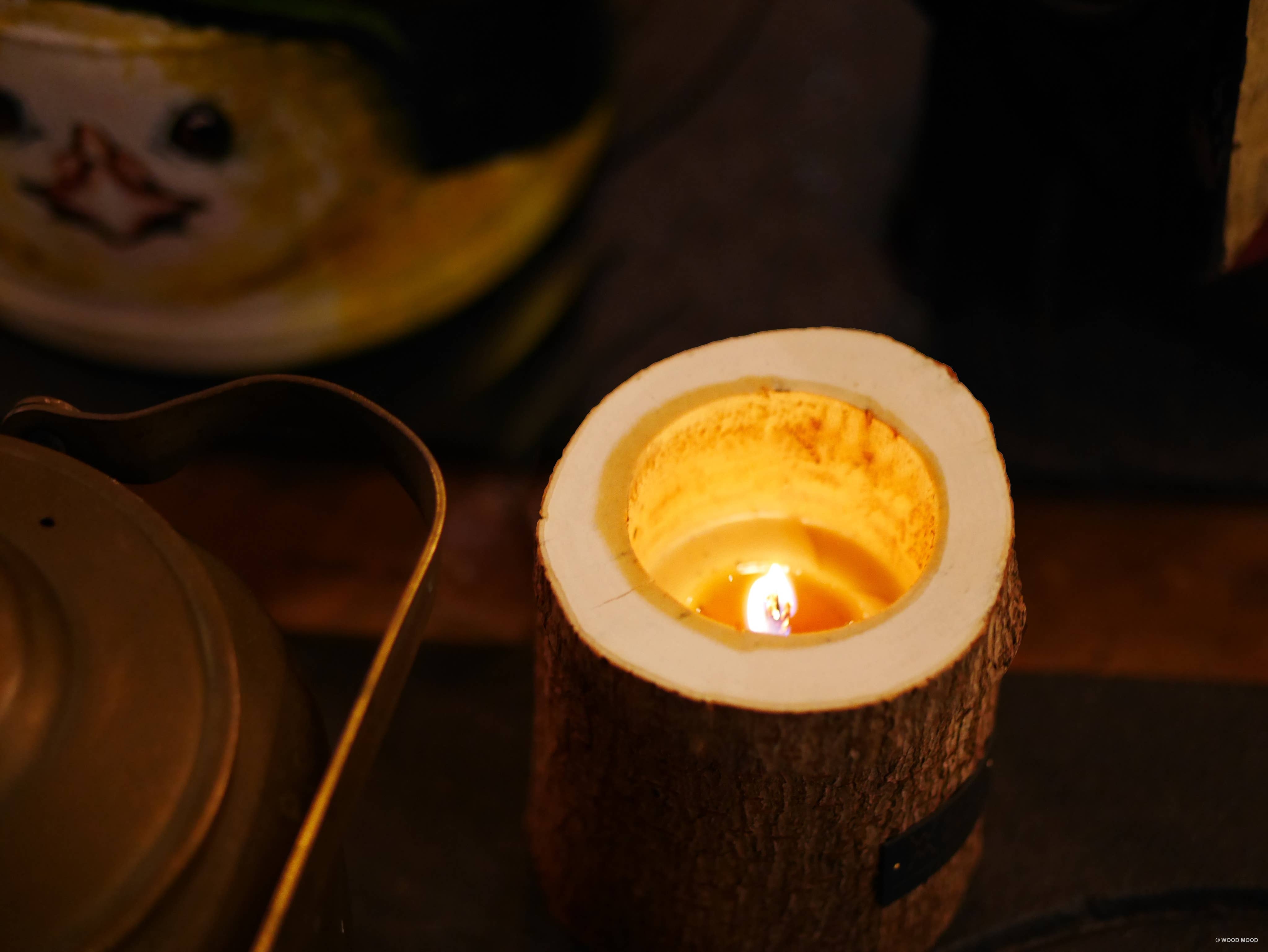 WOOD MOOD - Vendita all'ingrosso Candela in vasetto - Rocky Original | candela riutilizzabile con olio essenziale di pino16