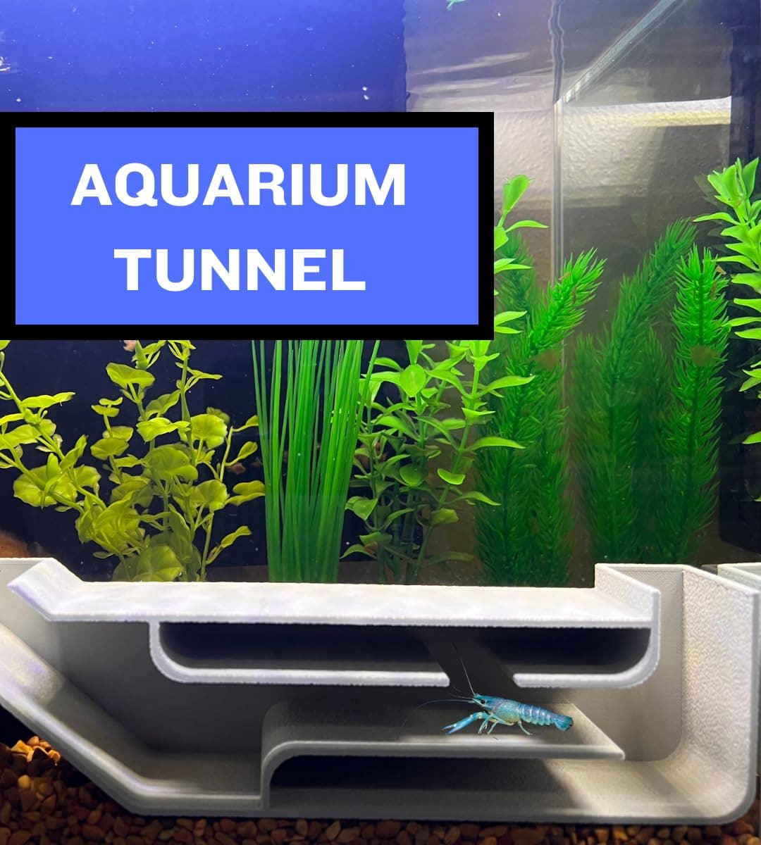 Chatelet – Großhandel Tischdeko – Chatelet REEFSHAPE Aquarium X-Large unterirdischer Tunnel | Versteck für Fische und Garnelen für Aquarien | Einzigartiger unterirdischer Aussichtstunnel | 9,75 Zoll x 2,5" | Hergestellt in den USA (XL)6