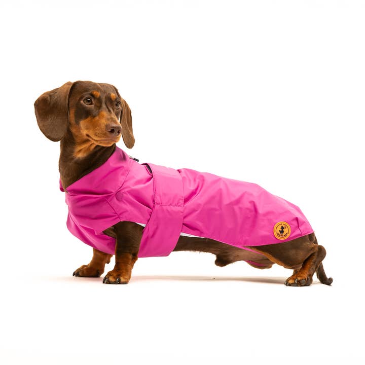 United Pets – wholesale Ytterkläder - Hund – Save the Duck x United Pets kappa för hundar Fuchsia