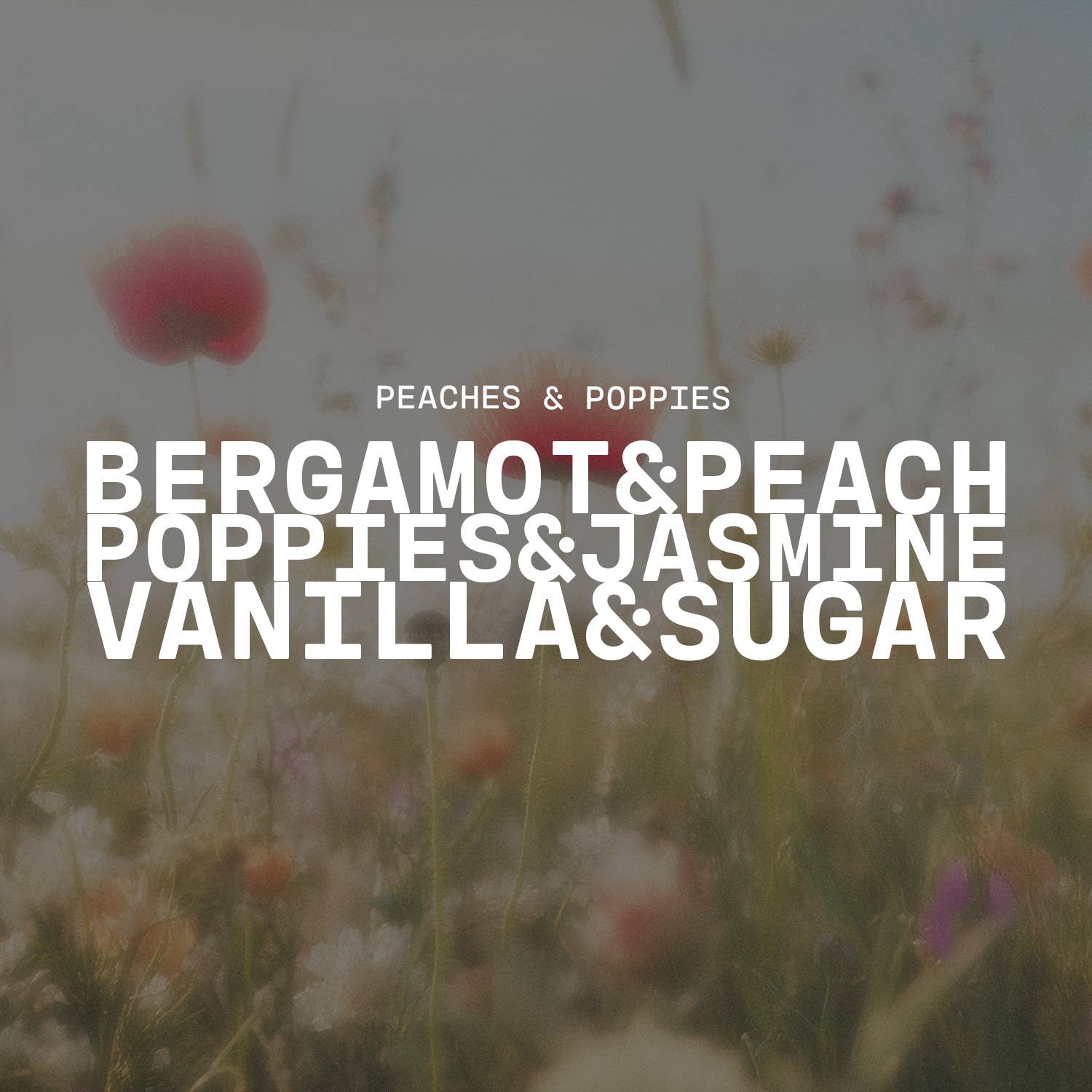 Milkhouse Candle Company - Wholesale Jar/Filled Candle - 26 oz Farmhouse Jar Candle: Peaches & Poppies2