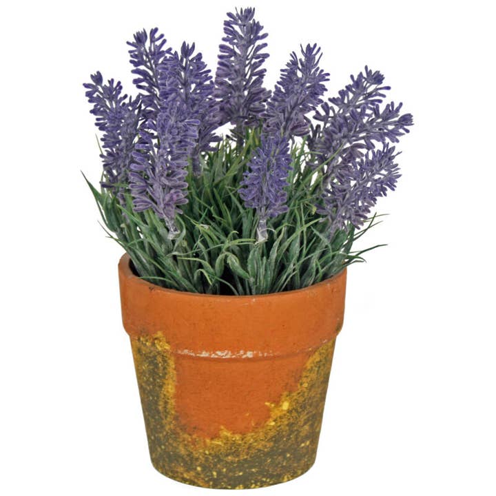 Lavendel in pot voor wholesale door Originals International Ltd