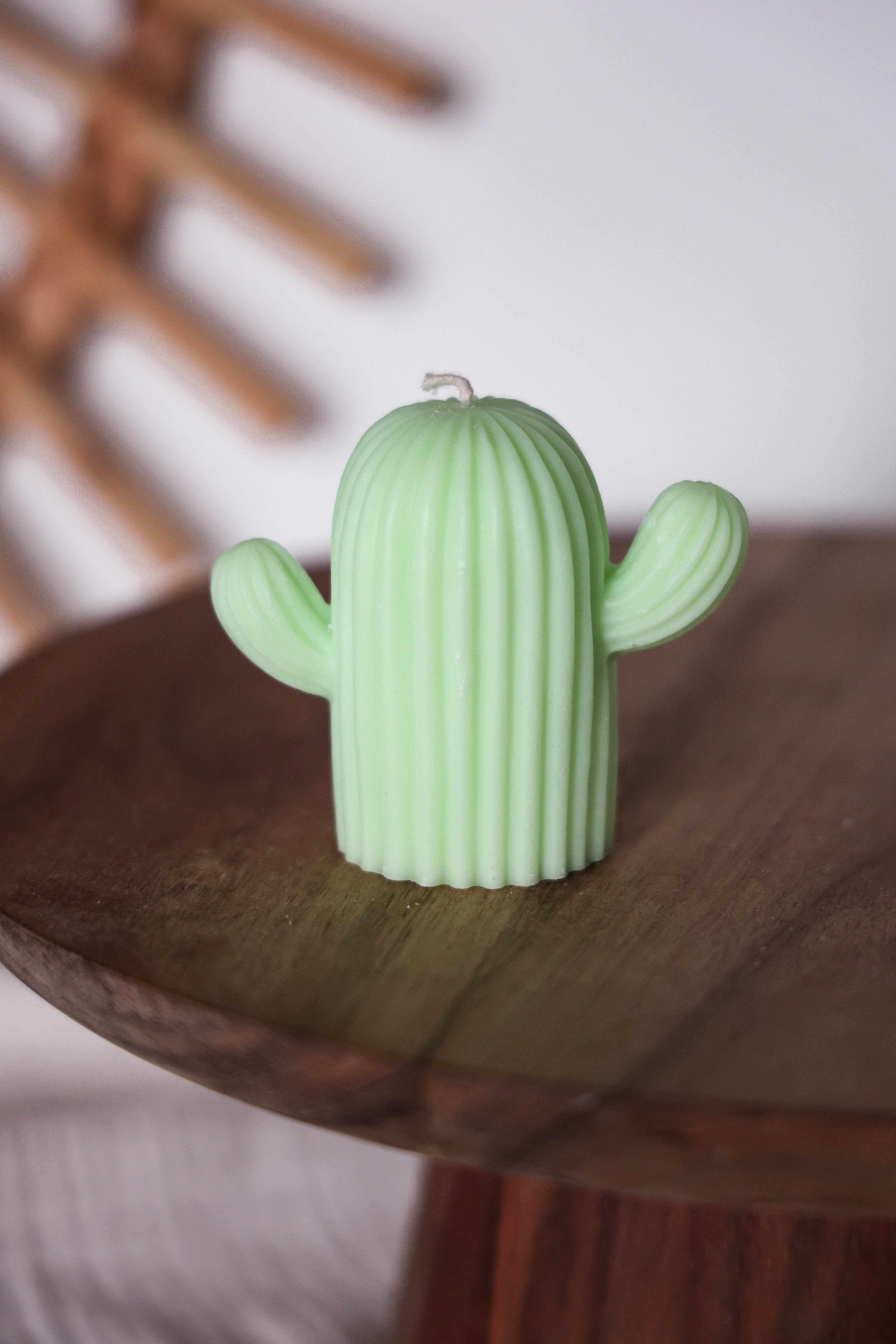 Niki Candle - Wholesale Novelty Candle - cactus6