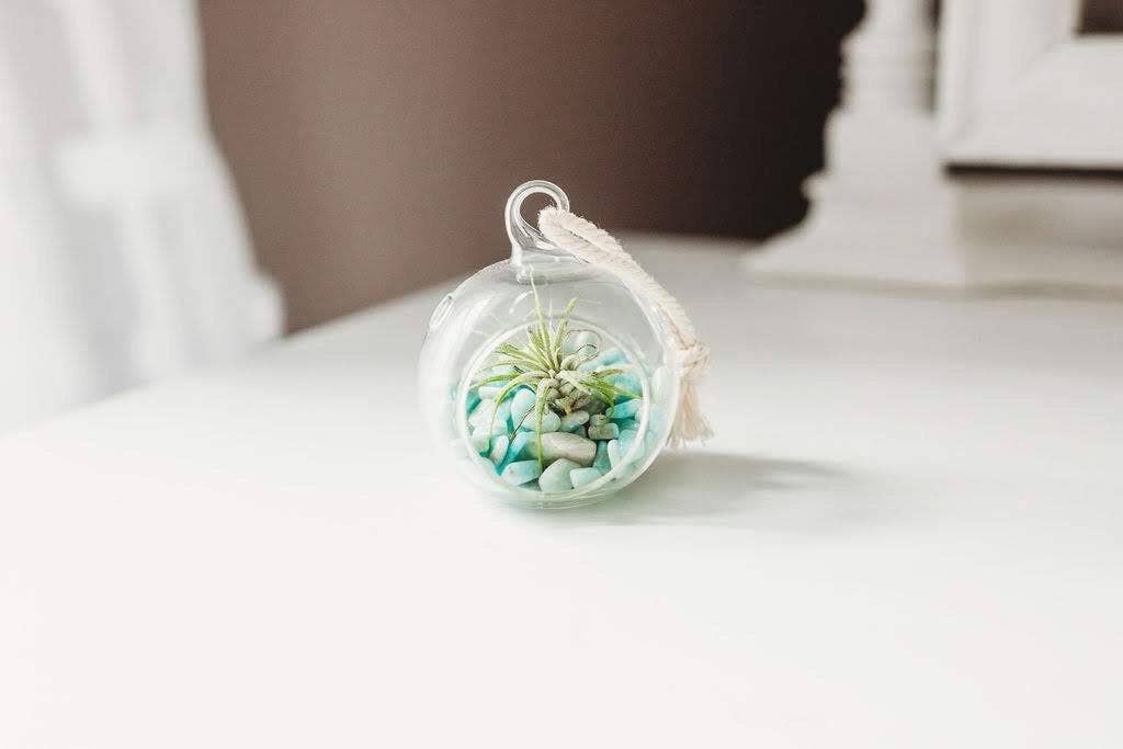The Simply Crafty Shop - Wholesale Terrarium - Mini Orb Air Plant Terrarium Kit - Semi-Precious Stone47