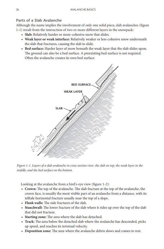 Mountaineers Books - Wholesale Nature & Outdoors - Staying Alive in Avalanche Terrain, 3rd Edition3