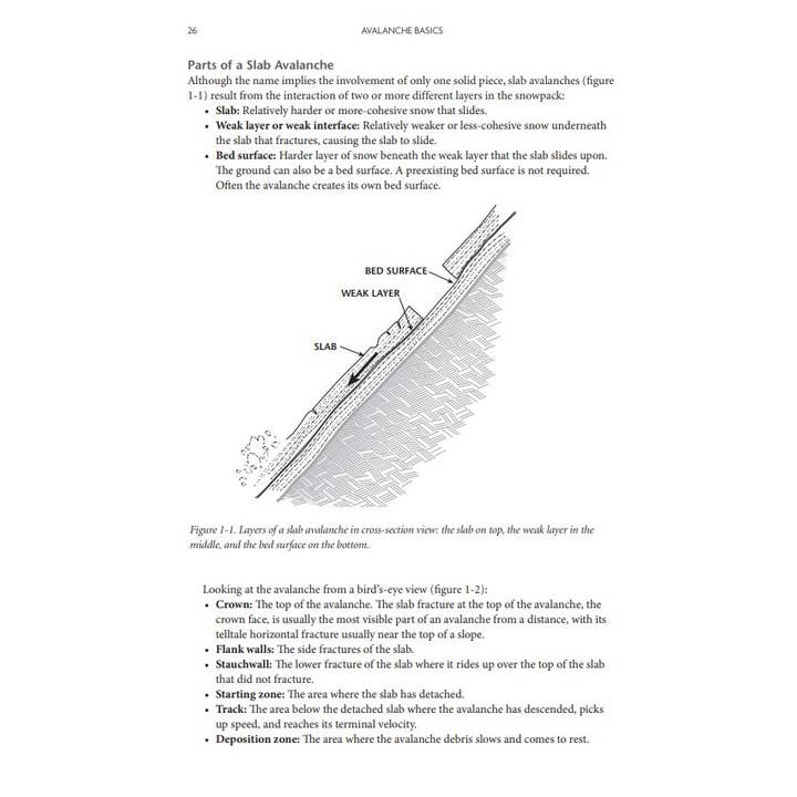 Mountaineers Books - Wholesale Nature & Outdoors - Staying Alive in Avalanche Terrain, 3rd Edition3