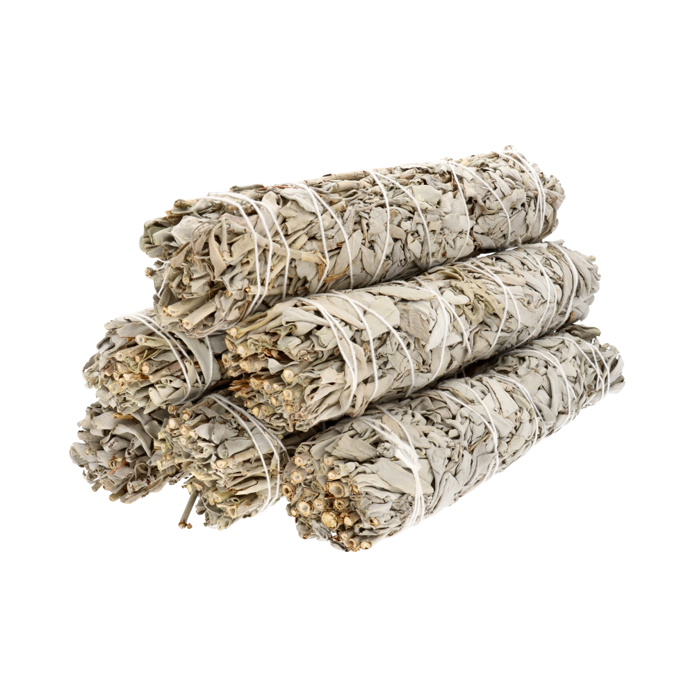 Vives de la Cortada S.L - Wholesale Sage Bundle - California Grande White Sage (Salvia Apiana)2
