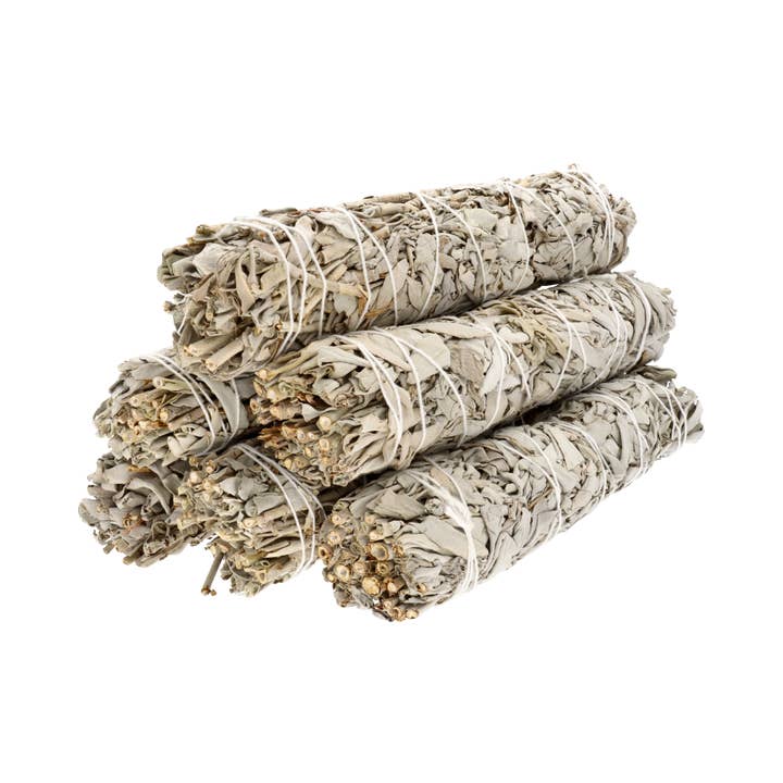 Vives de la Cortada S.L - Wholesale Sage Bundle - California Grande White Sage (Salvia Apiana)2
