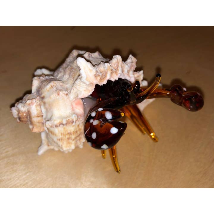 Shell Glass Brown Hermit Crab for wholesale by Sea Creations