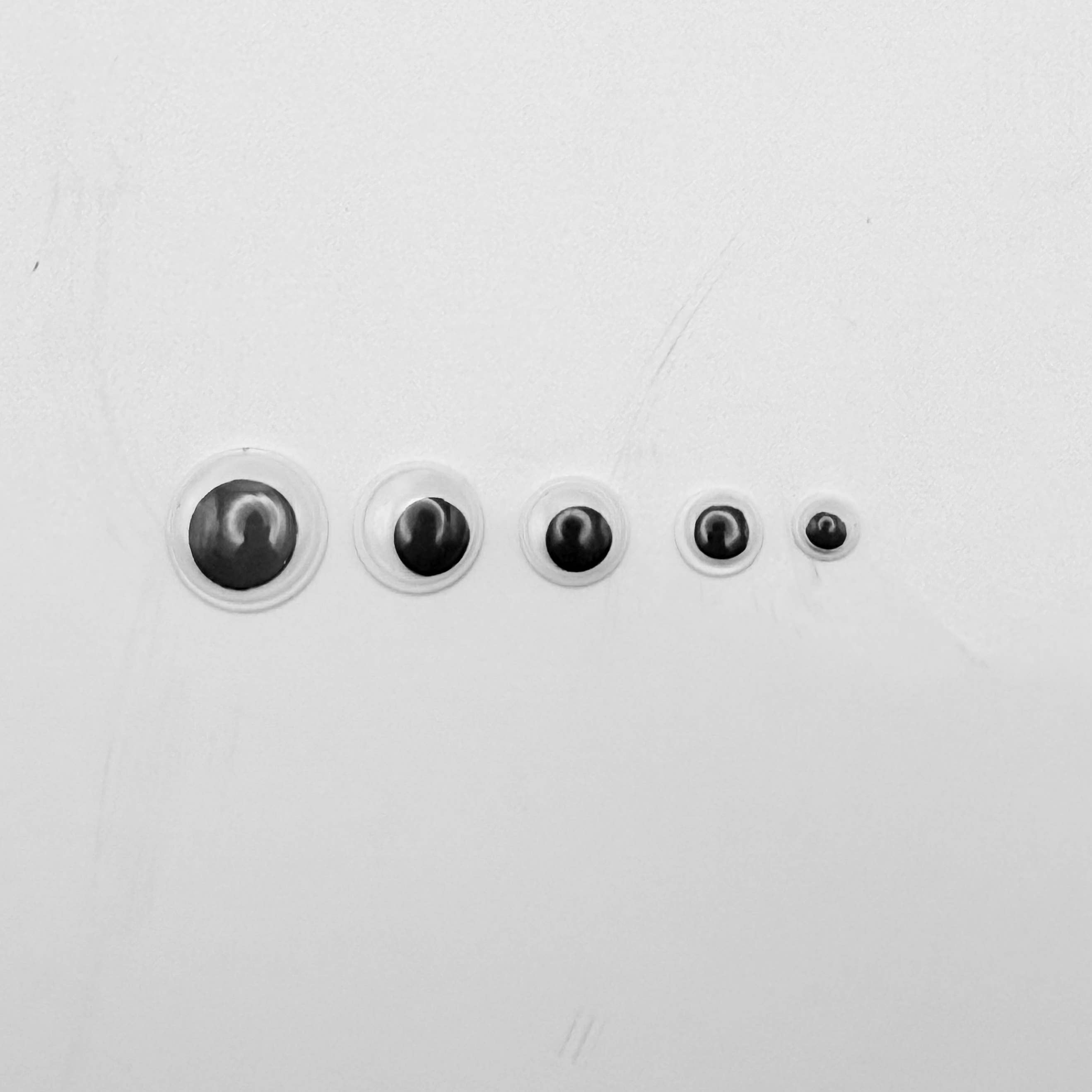 The Toy Group - Wholesale Craft Supplies - 500 Pcs Assorted Googly Eyes3