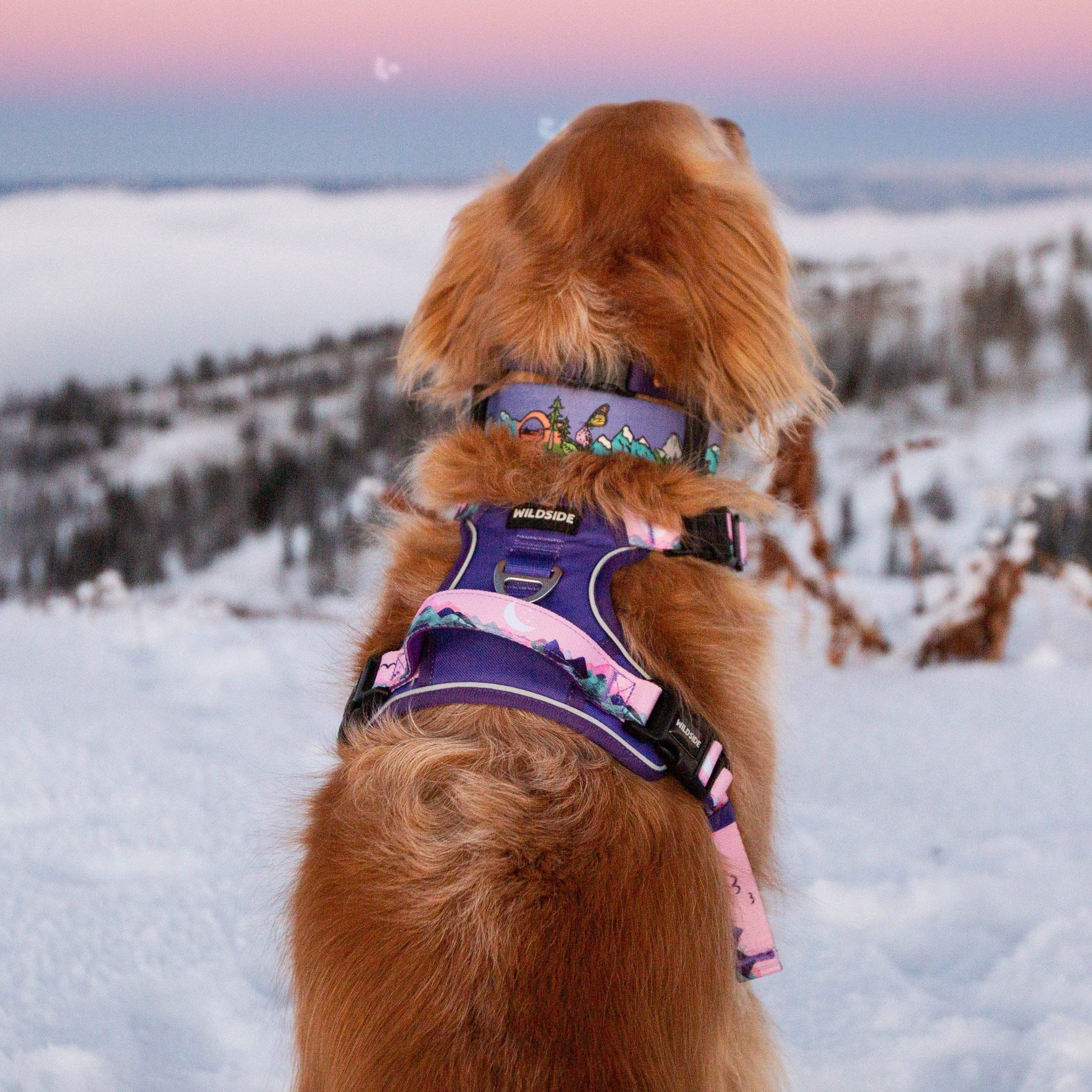 Wildside Dog Gear - Wholesale Pet Harness - Dog - Mt. Milly Dog Harness with Handle For Active Dogs 3