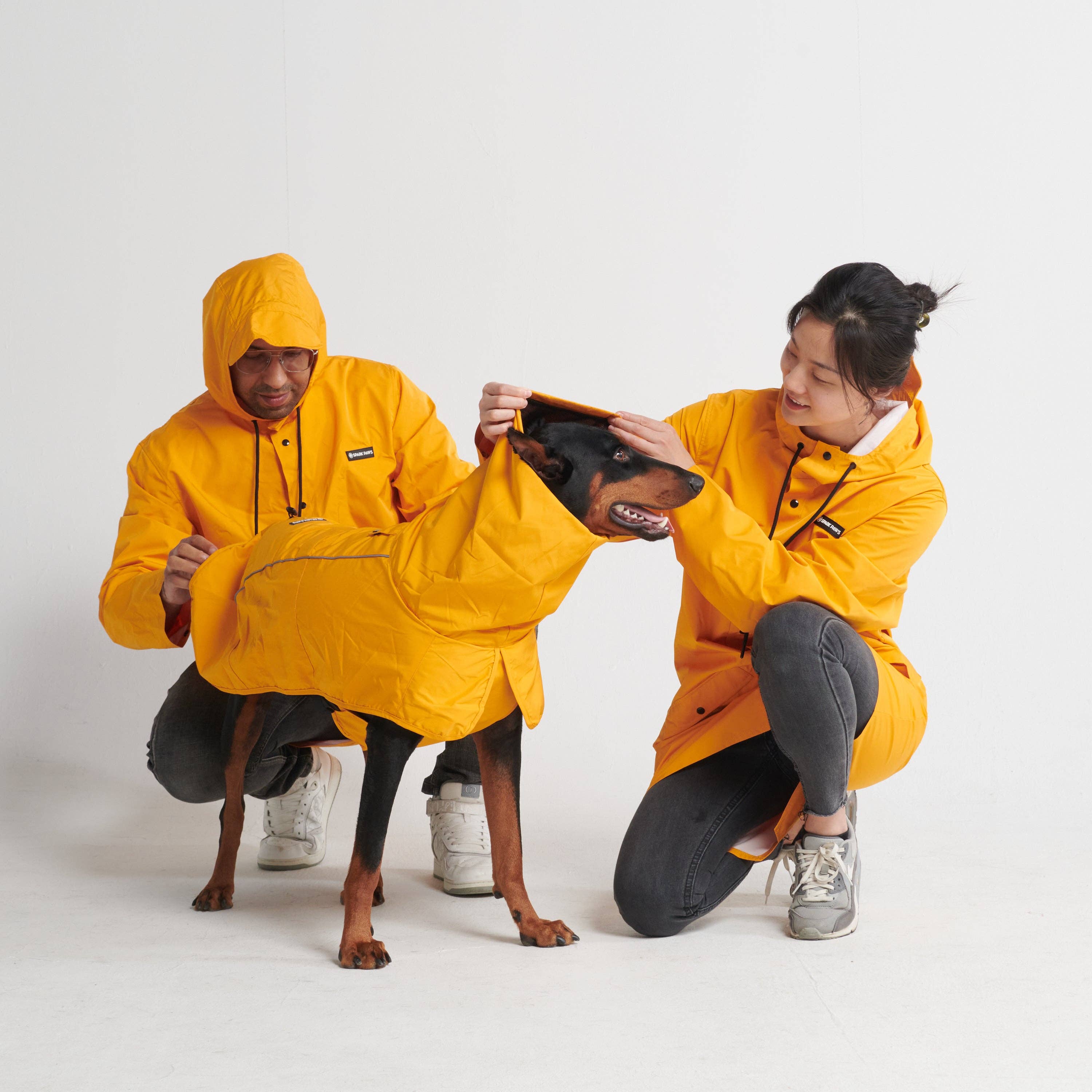 Spark Paws - Wholesale Pet Raincoat - Dog - Breatheshield™ Dog Raincoat - Mustard Yellow5