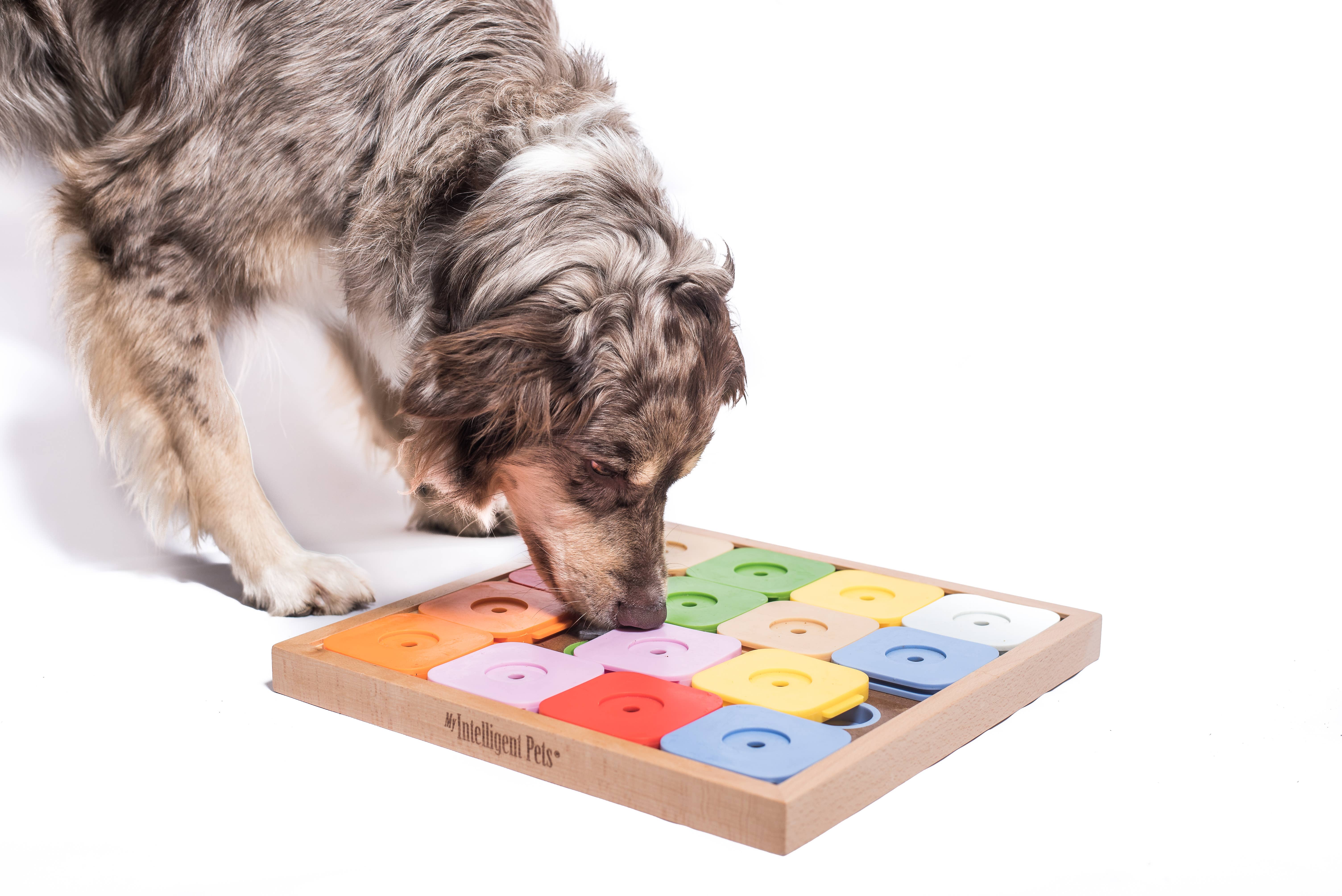 My Intelligent Dogs - Wholesale Pet Toy - Dog - SUDOKU Medium Genie Color - intelligent dog puzzle1