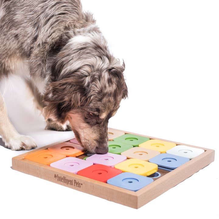 My Intelligent Dogs - Wholesale Pet Toy - Dog - SUDOKU Medium Genie Color - intelligent dog puzzle1