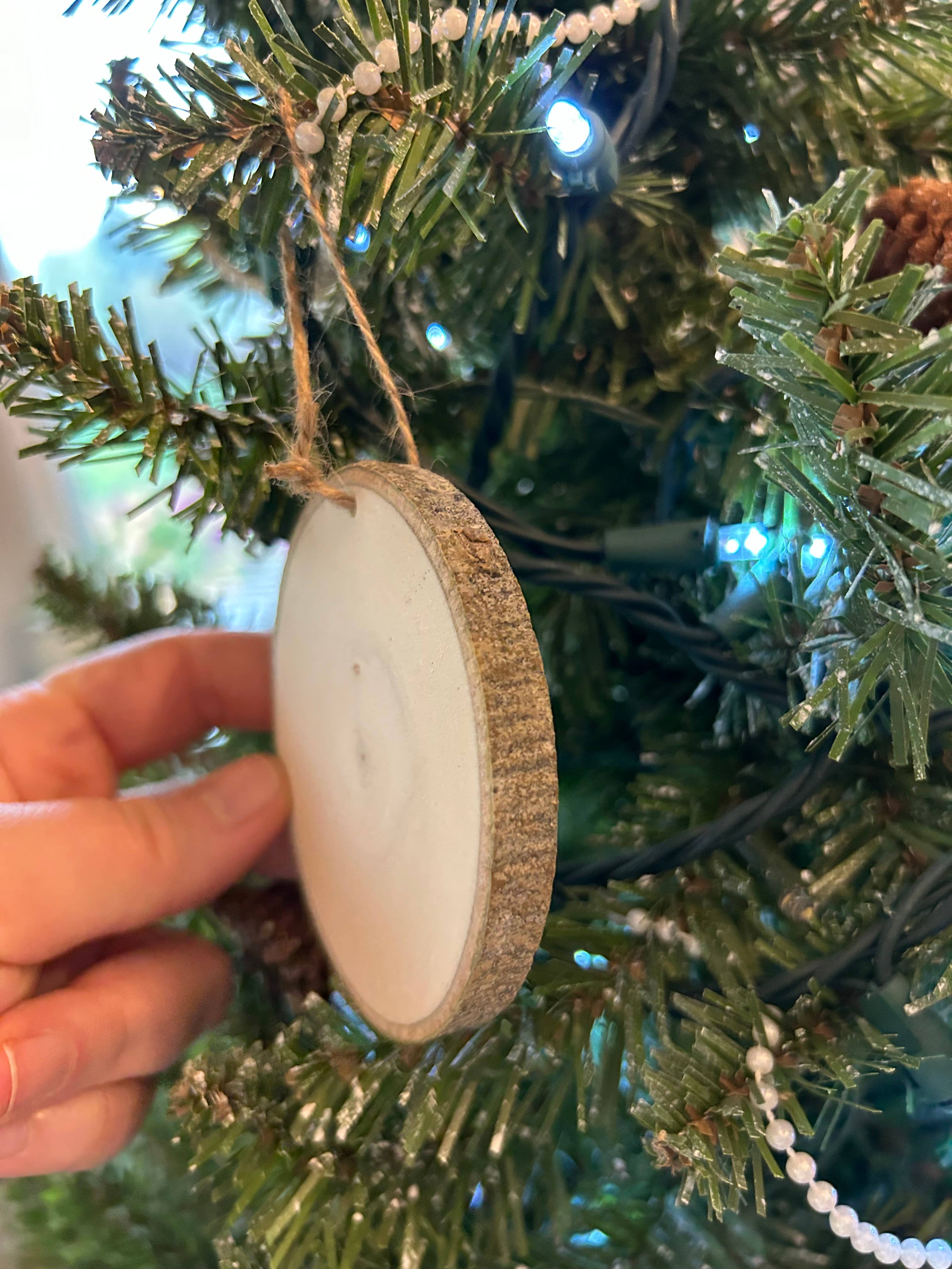 Parks Art Collection - Wholesale Ornament - Grand Teton National Park Ornament, Jackson Hole, Tetons4