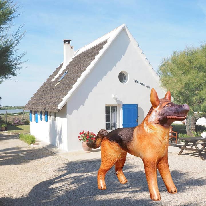 Jet Creations Inc. – Decalque por atacado – Pastor Alemão Insuflável, 43 Polegadas de Comprimento4