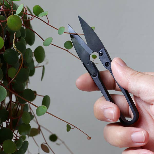 Botanopia USA - gifts , decor and cards for plant lovers - Wholesale Garden Tool - The Good Snips - Bonsai pruning shears