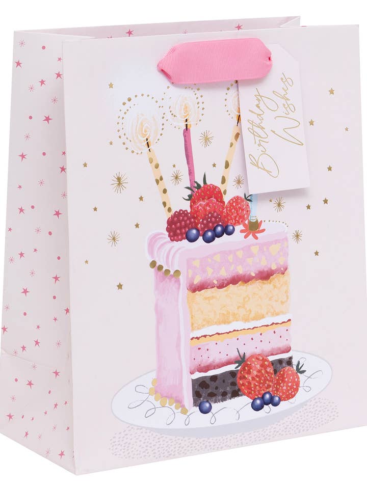 Birthday Cake Slice Midi Bag for wholesale by Ballyhoo