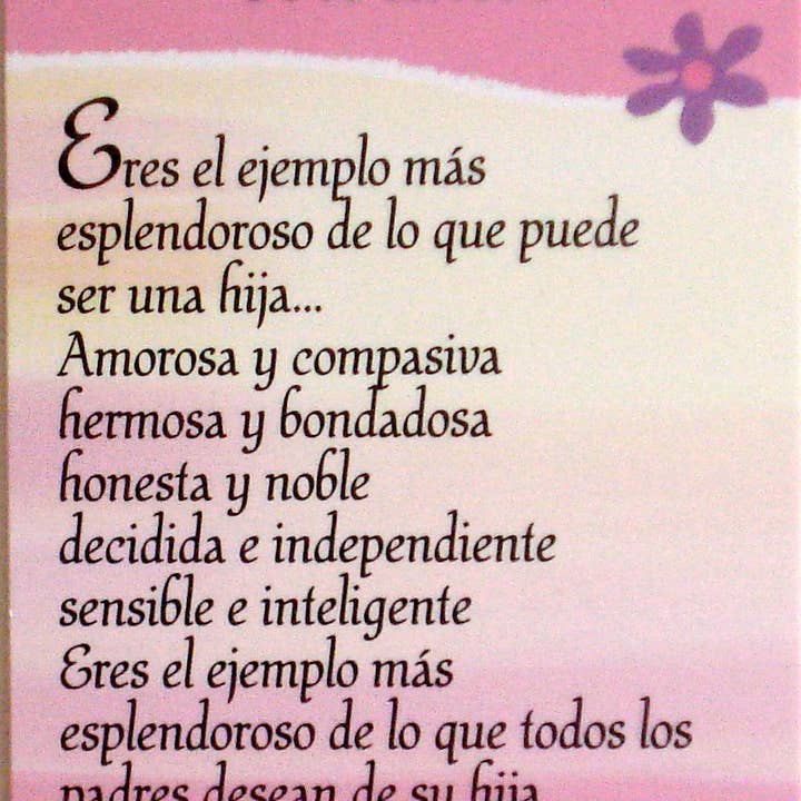 Blue Mountain Arts - Wholesale Everyday Greeting Card - PARA MI HERMOSA HIJA CON AMOR