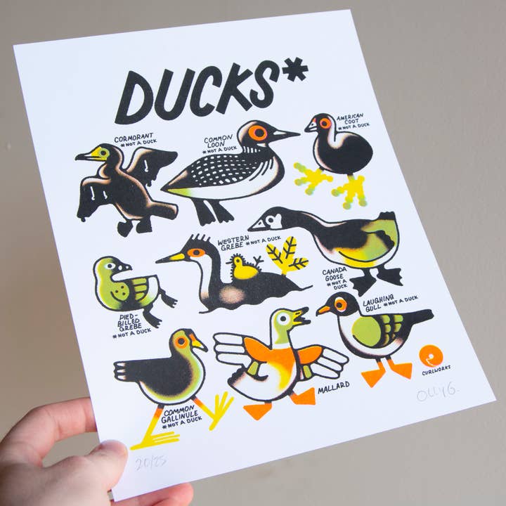 Curlworks - Vente Affiche d'art - Des canards (pas un canard) - Impression risographique de 8 x 10 pouces4