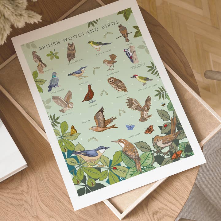 Angie Spurgeon Illustration and Design - Wholesale Art Print - British Woodland Birds Wall Art Print A4 Unframed