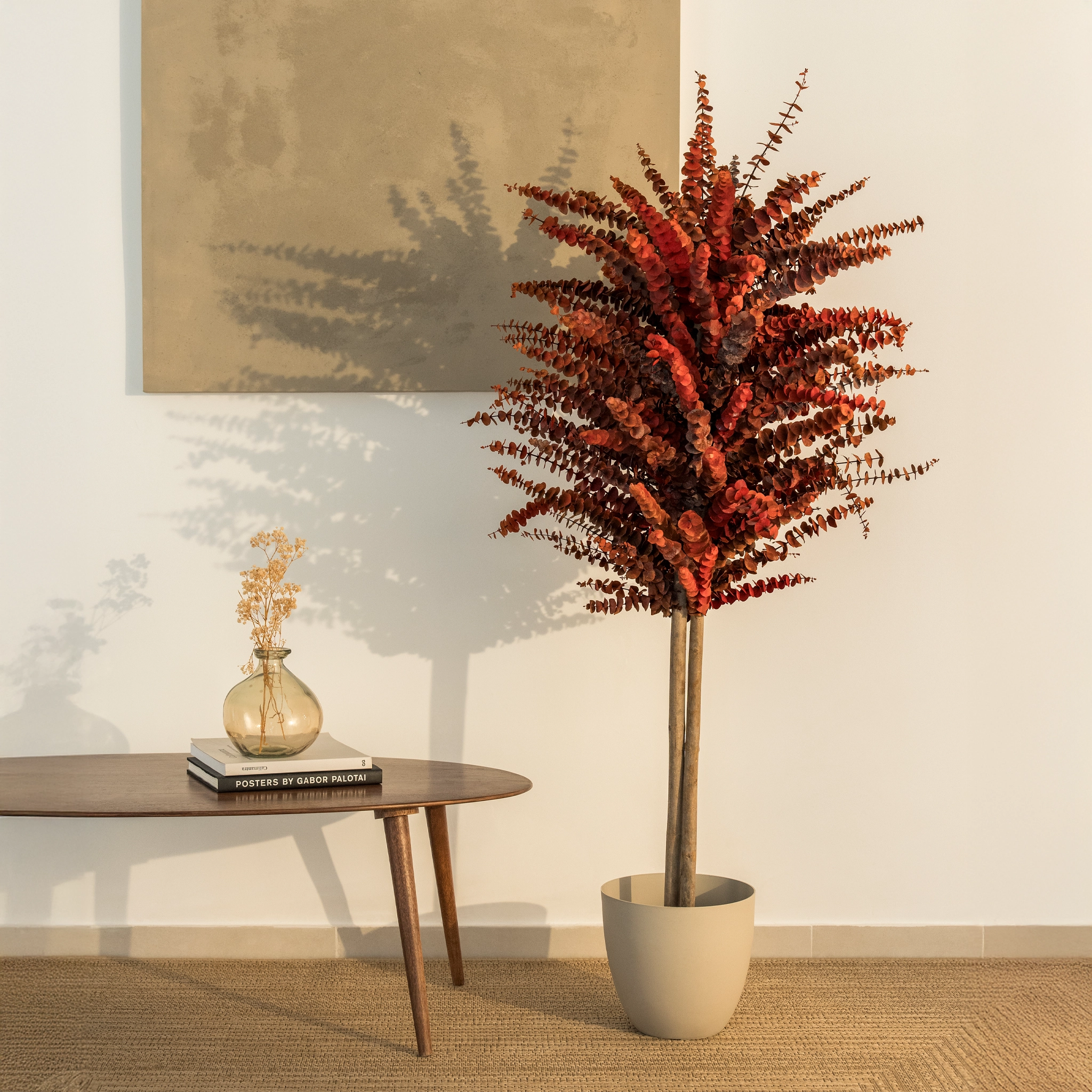 Maia Shop - Venta al por mayor Plantas artificiales - Árbol Eucalipto Preservado Baby1