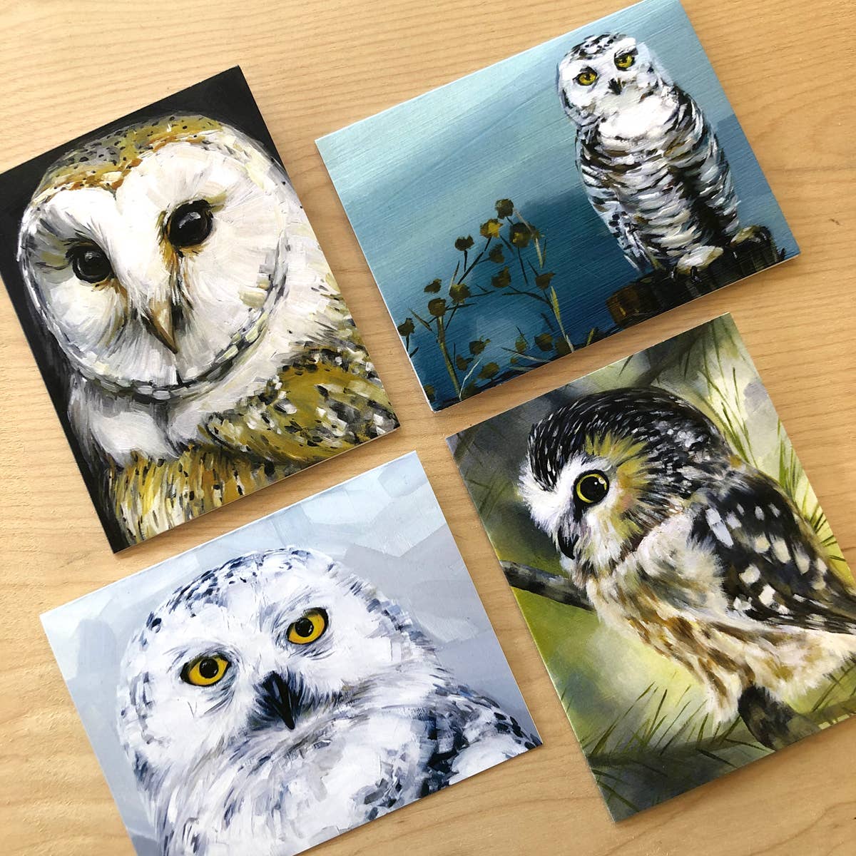 Art by Alyssa - Wholesale Everyday Greeting Card - Owl Boxed Cards1