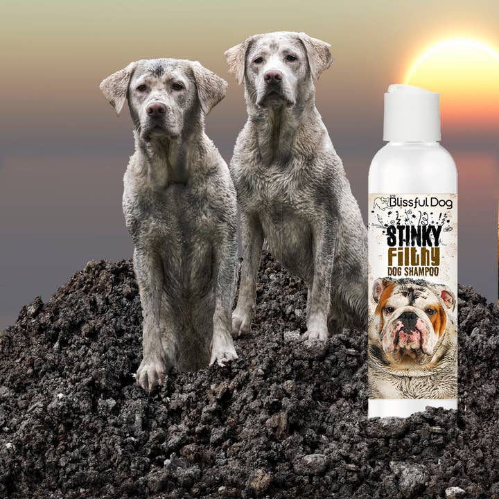 The Blissful Dog – Engroshandel Shampoo - Hund – Stinkende Beskidte Hund Shampoo til dit beskidte dyr af en hund5
