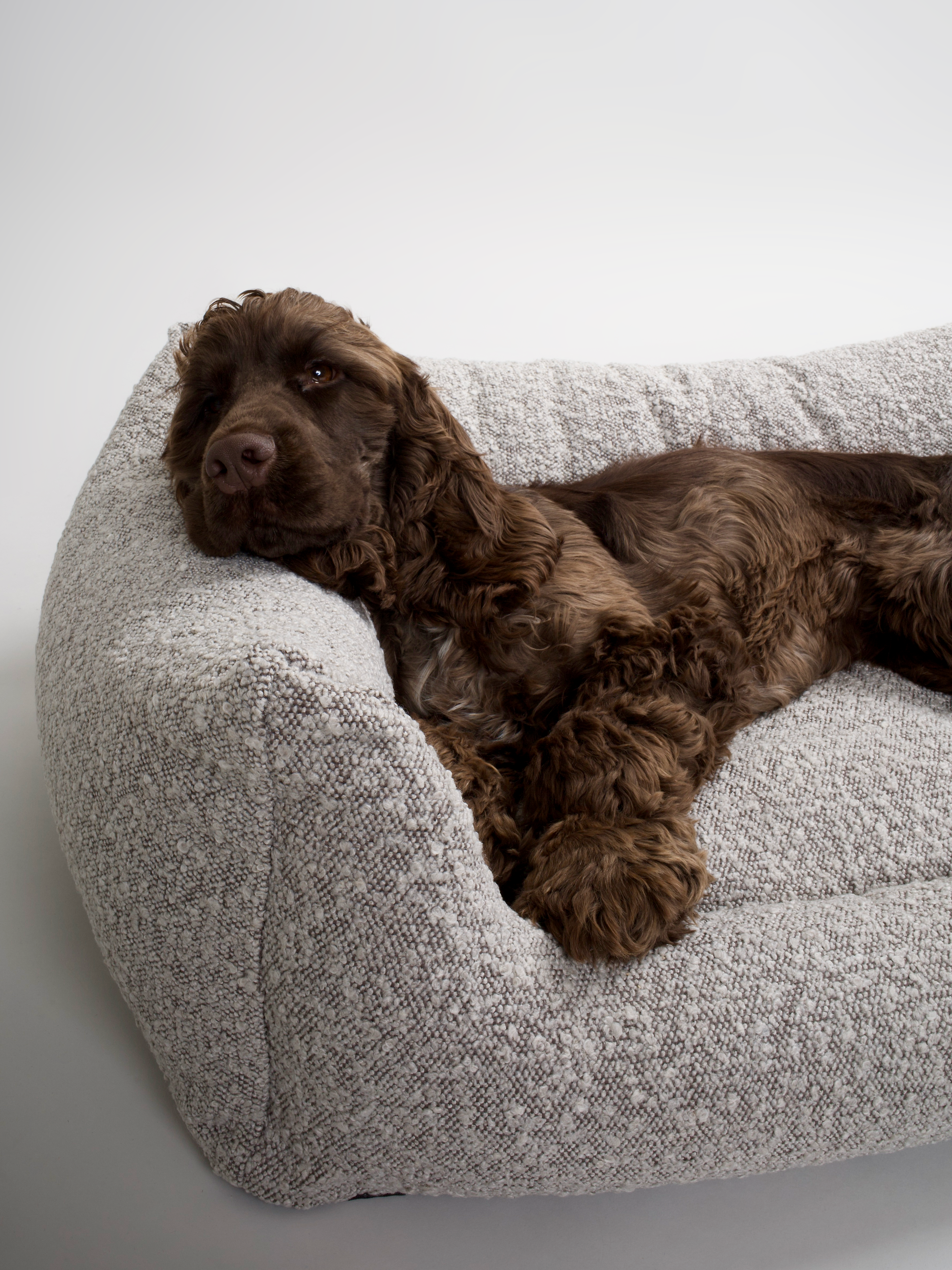 Nordog - Wholesale Bed voor huisdieren - Hond - BILLY hondenmand van bouclé stof in taupe14
