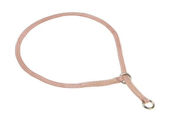 Alvalley – Engroshandel Halsbånd - Hund – Show slip halsbånd6