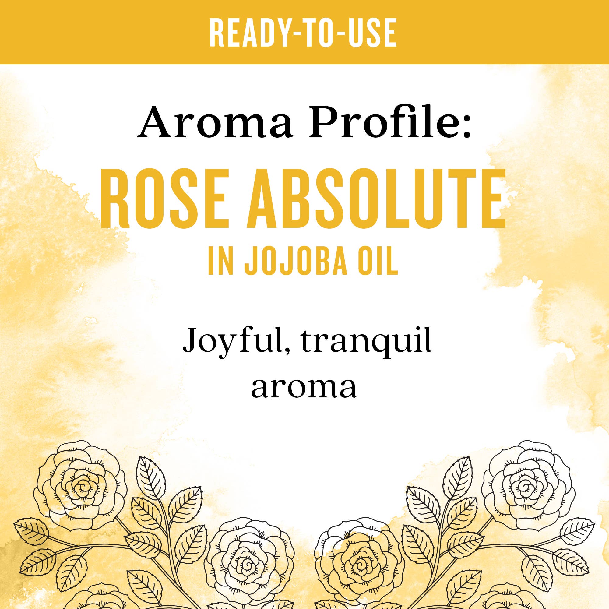 Aura Cacia - Wholesale Essential Oil - Ready To Use Rose Absolute Essential Oil In Jojoba Oil2