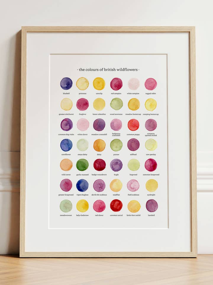 The Colours of British Wildflowers Watercolour Print for wholesale by By Tilly