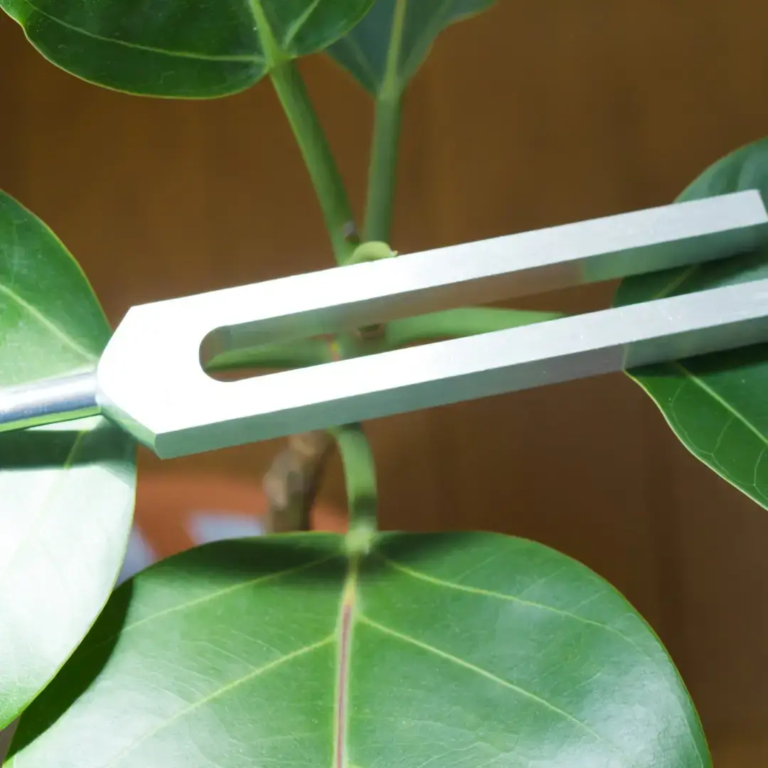 Vairagya Yogashala – wholesale Meditation supplies – Seven Chakra Tuning Forks - Unweighted, Uncolored0