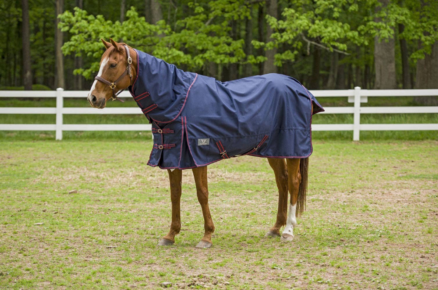 JPC Equestrian - Wholesale Horseback Riding Gear - TuffRider 1200 D Comfy Detachable Neck Ripstop Turnout Sheet5